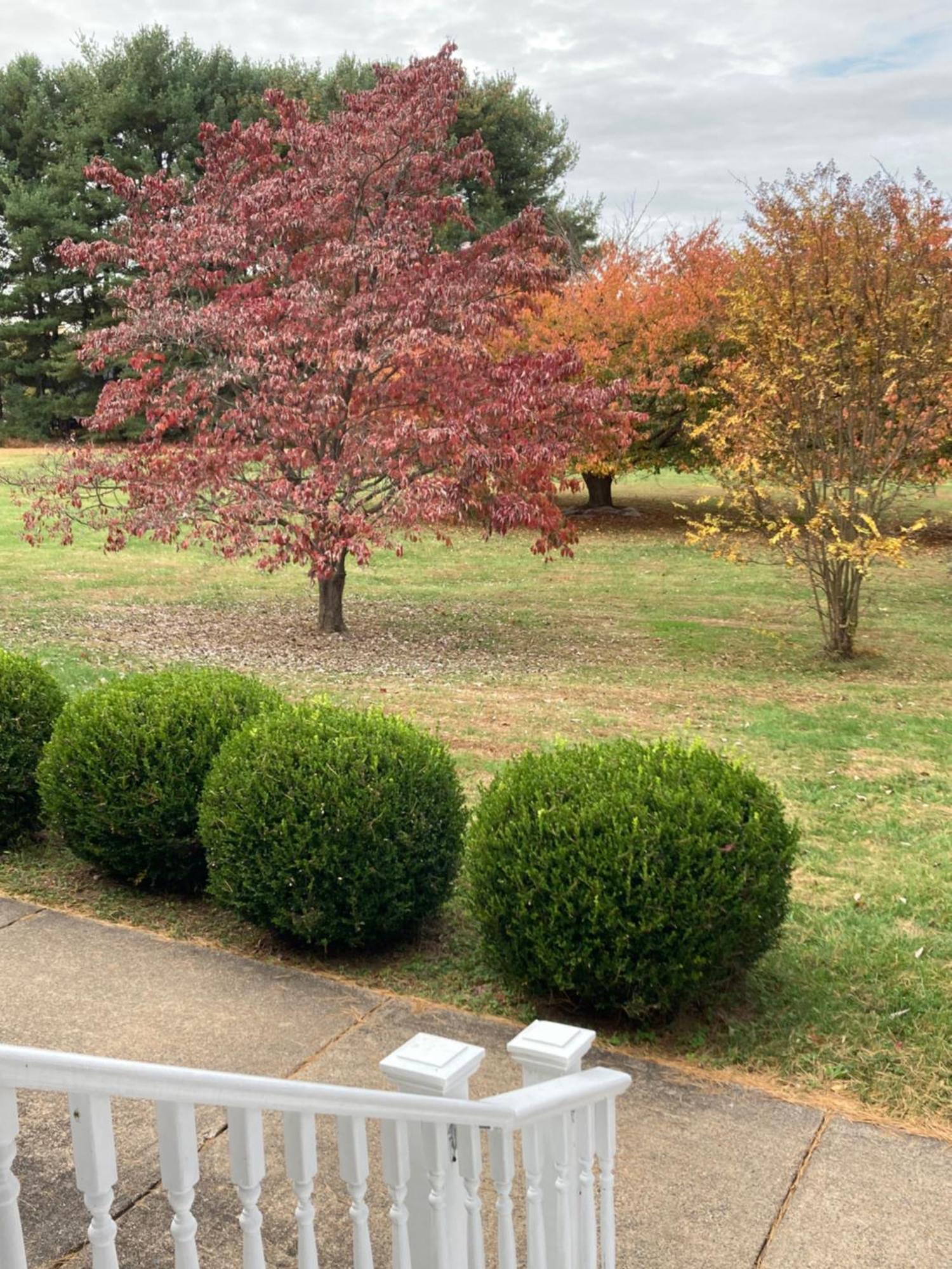 Purcellville Home Bagian luar foto