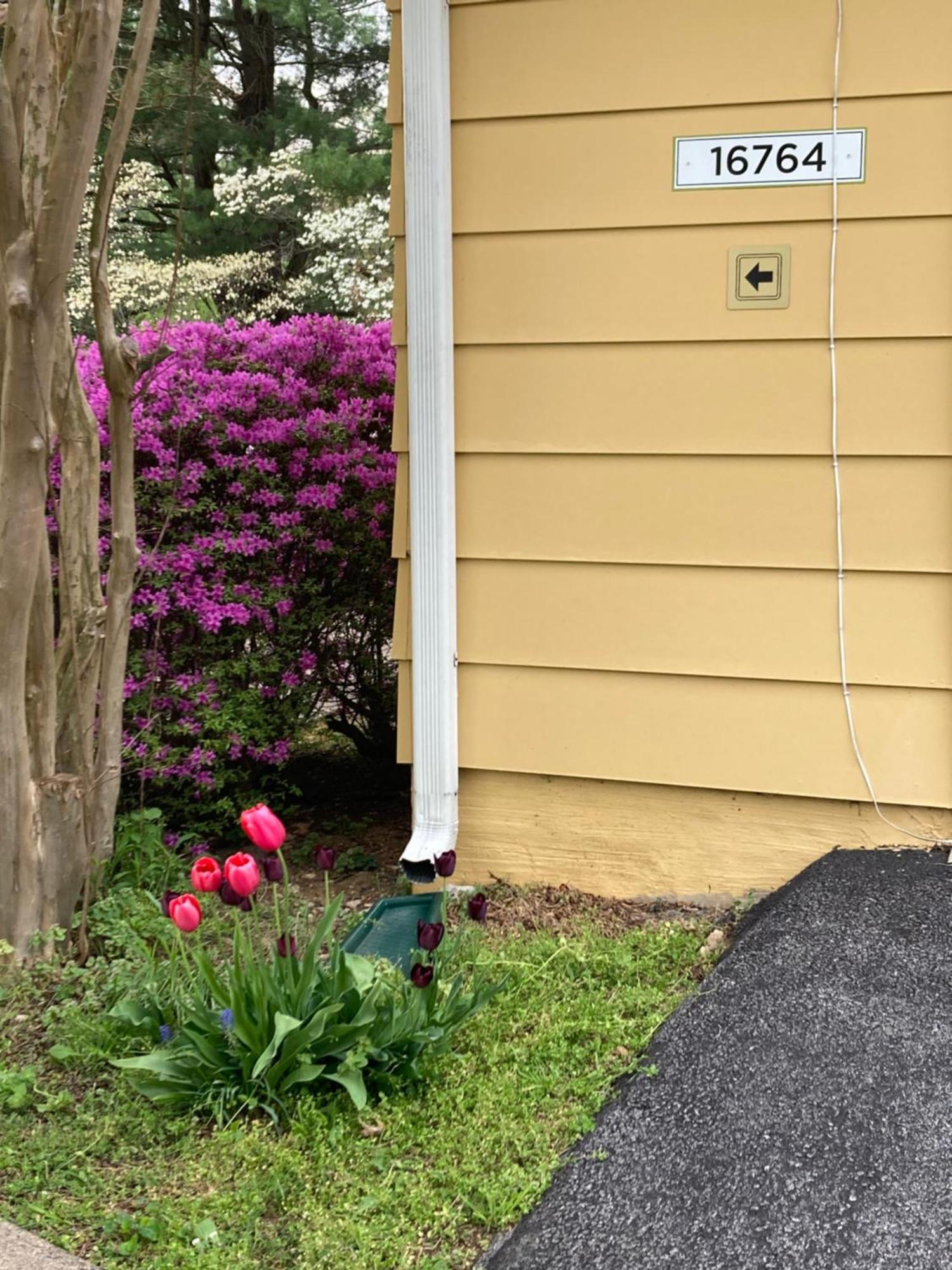 Purcellville Home Bagian luar foto